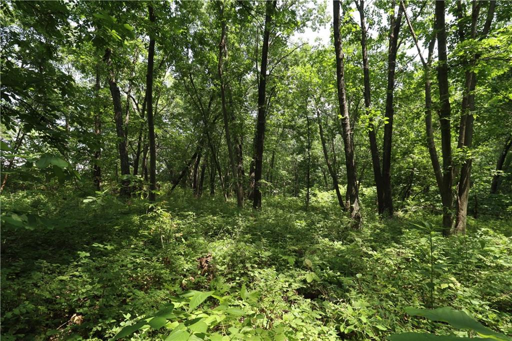 Photo of 36 E 1200th Road Baldwin City KS 66006