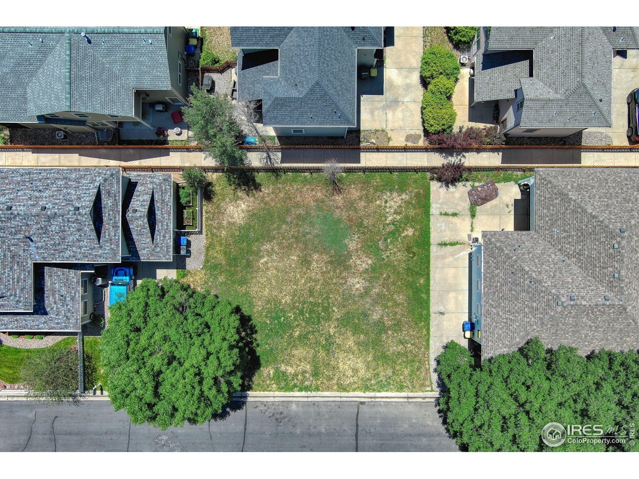 Photo of 421 Noel Ave Longmont CO 80501