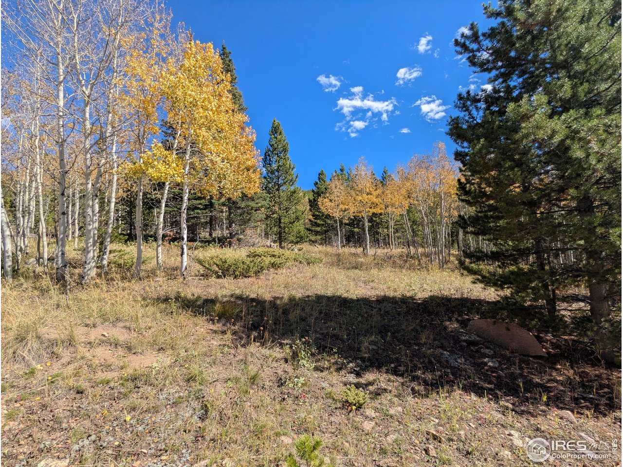 Photo of 11 Bear Gulch Rd Red Feather Lakes CO 80545