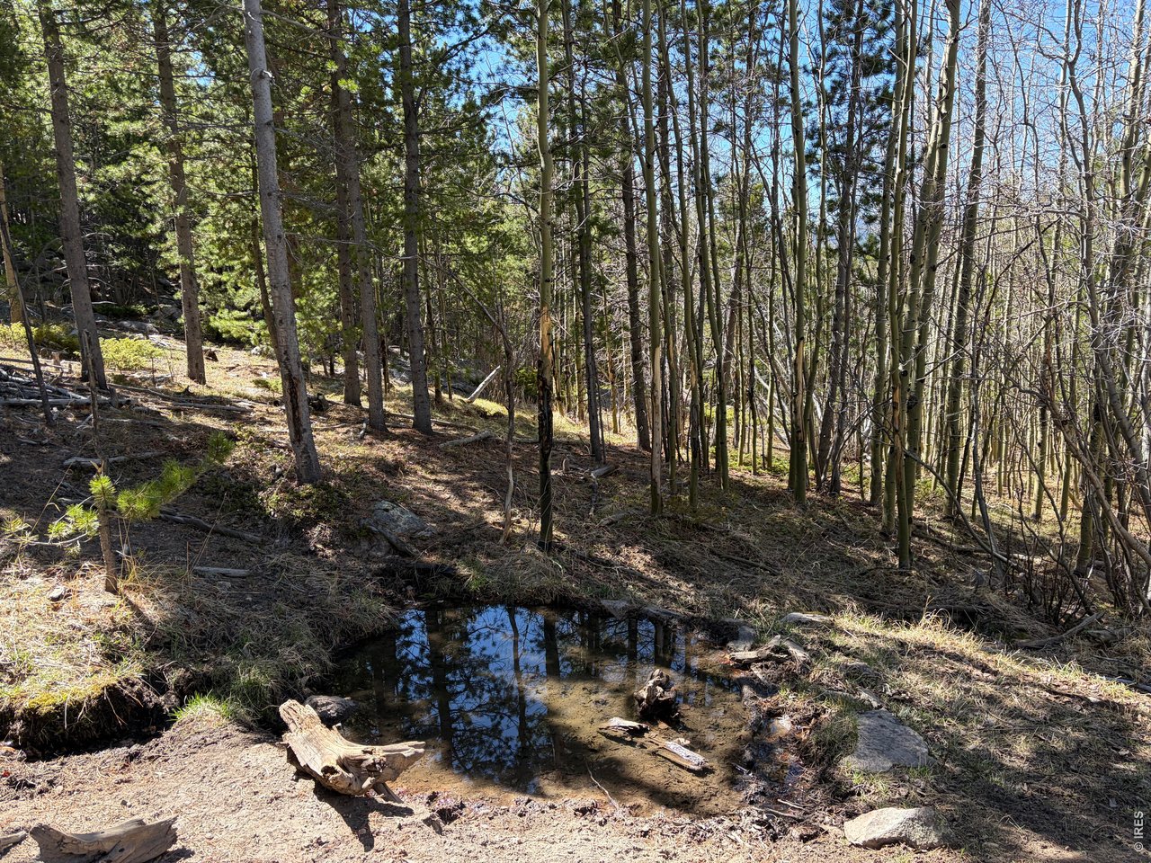 Photo of 0 Bear Gulch Rd Red Feather Lakes CO 80545