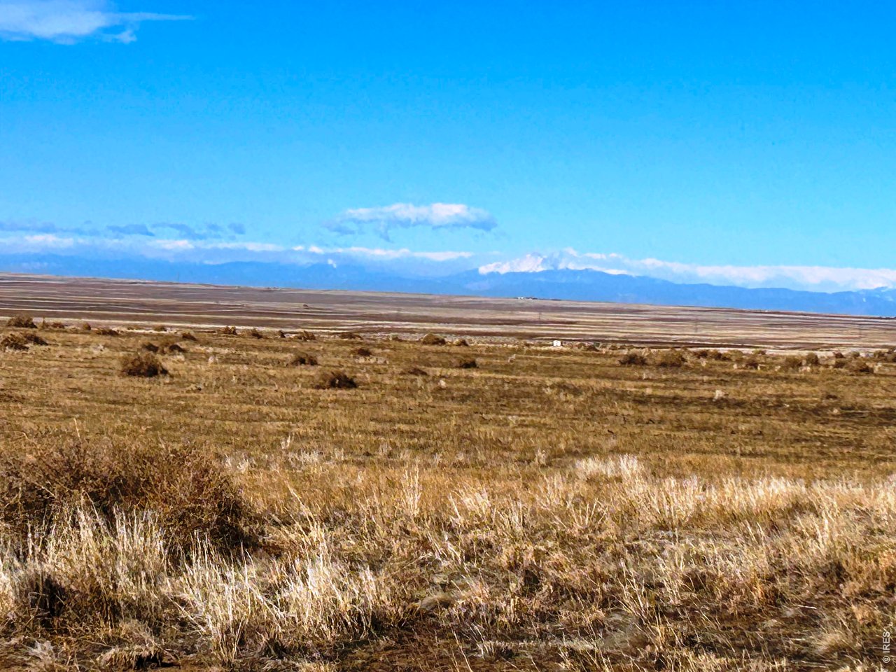 Photo of 0 County Road 93 Briggsdale CO 80611