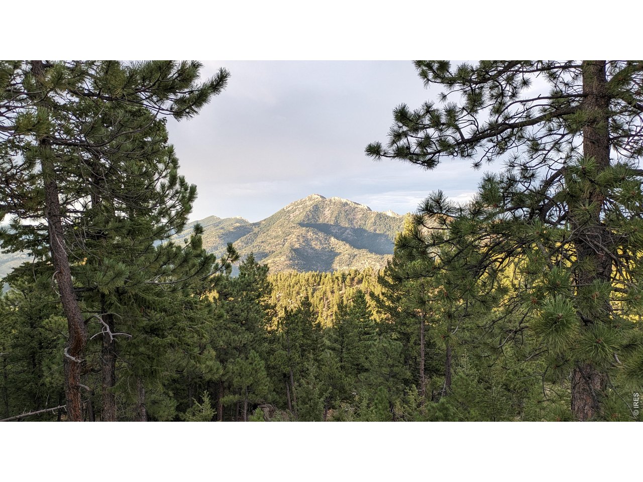 Photo of 1312 Chute Rd Golden CO 80403