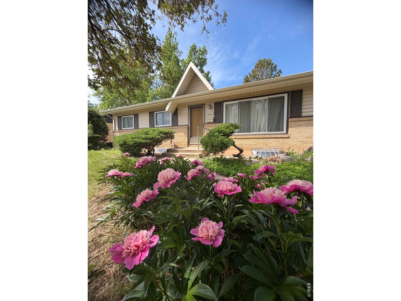 Photo of 1041 Montview Rd Fort Collins CO 80521