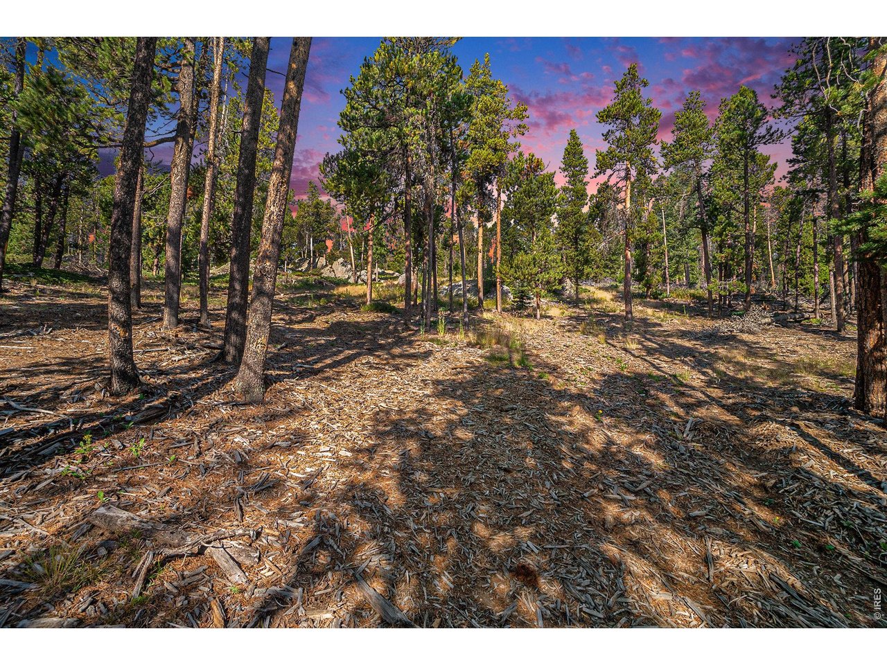 Photo of 231 Granite Dr Drake CO 80515