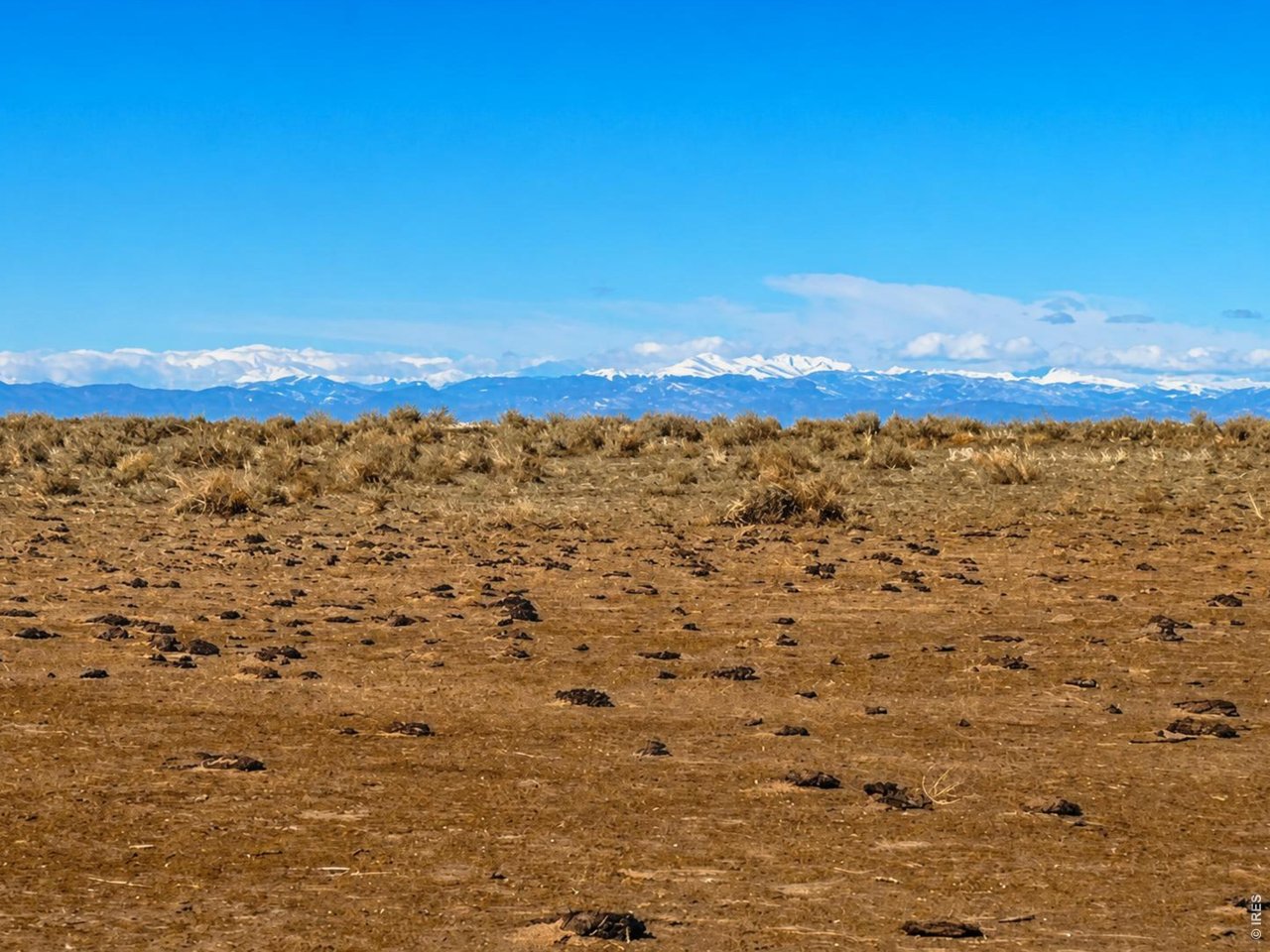 Photo of County Road 80 Briggsdale CO 80611
