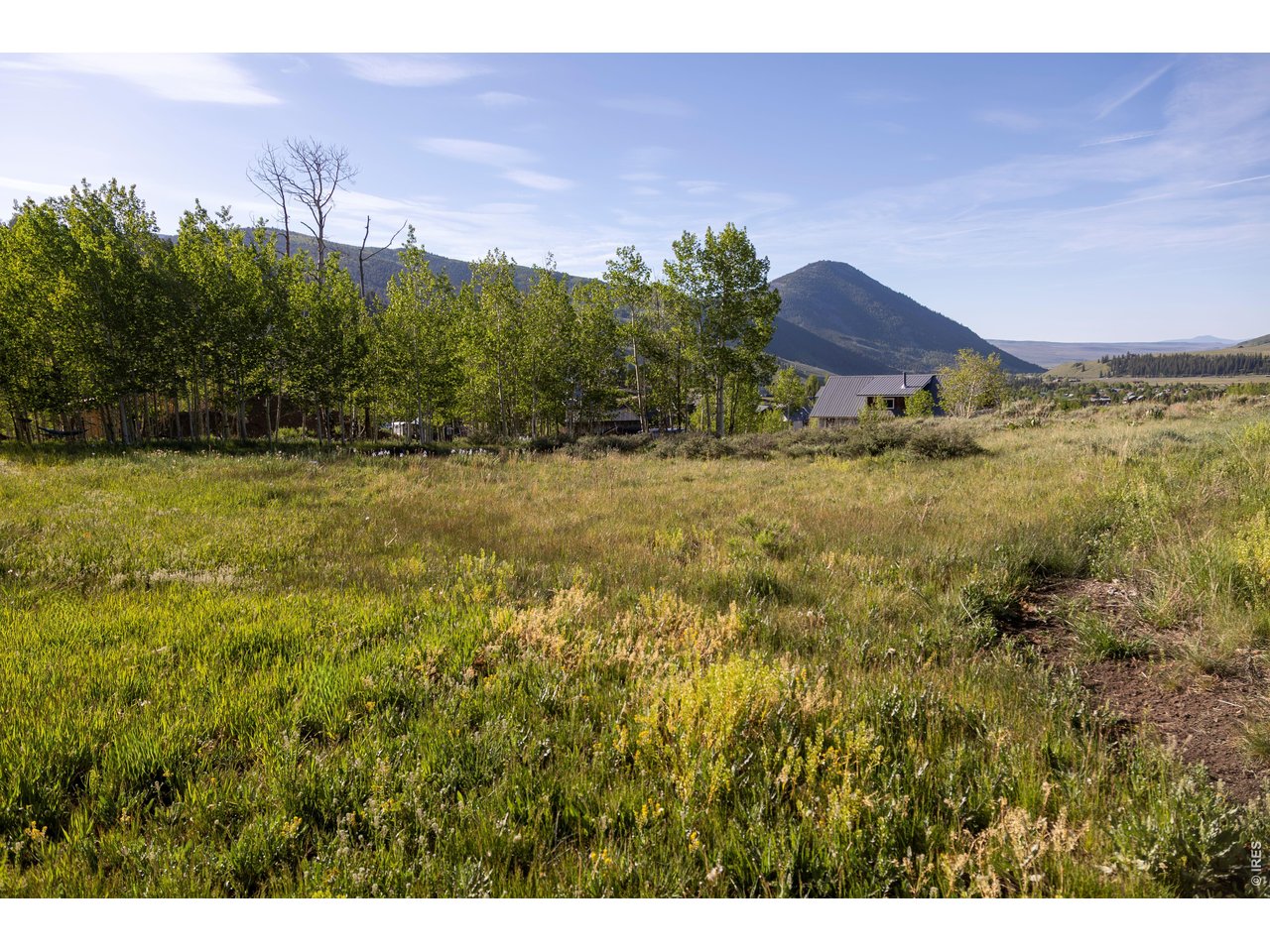 Photo of 451 Zeligman St Crested Butte CO 81224