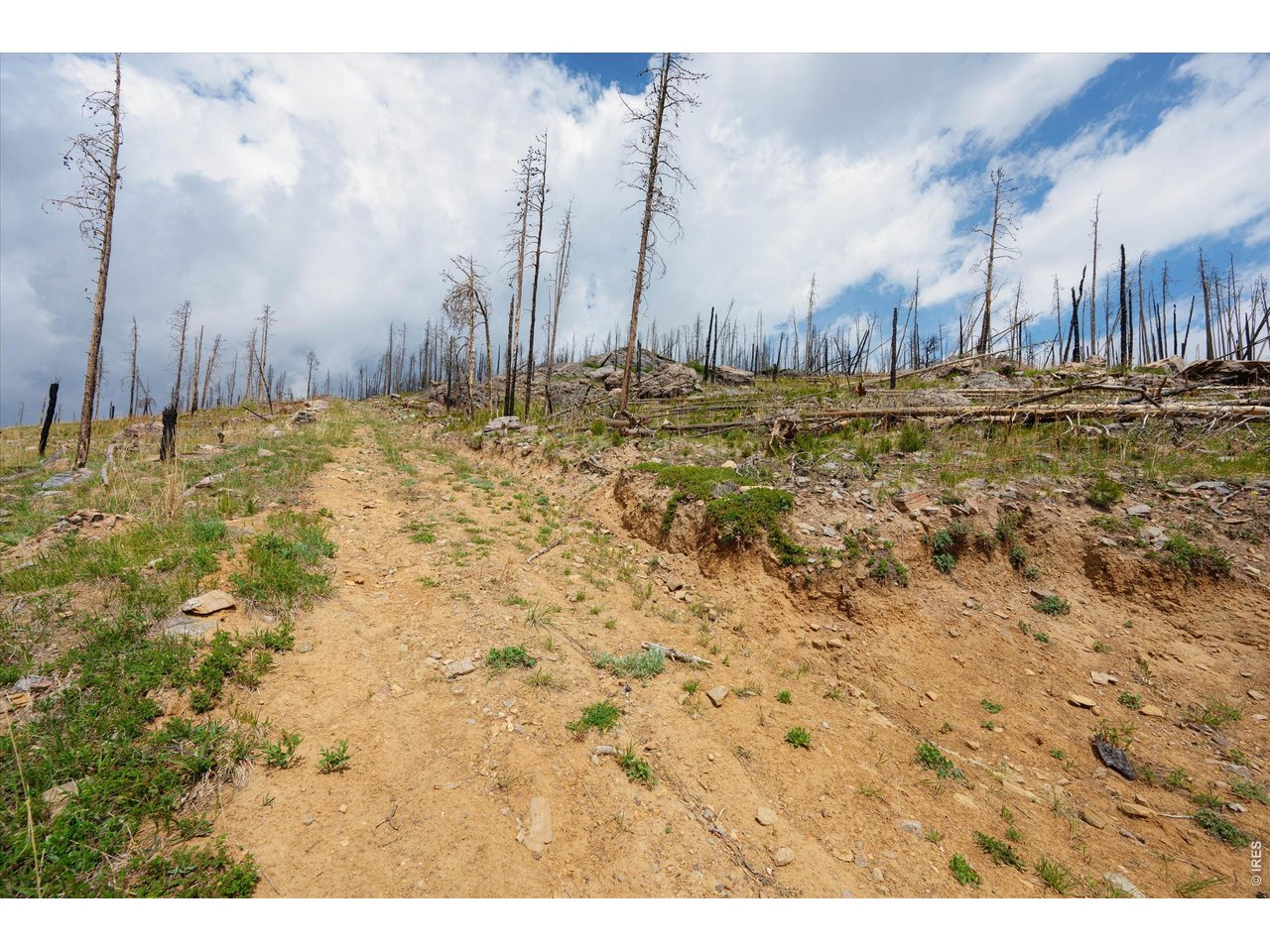 Photo of 30 Sheep Horn Ct Bellvue CO 80512