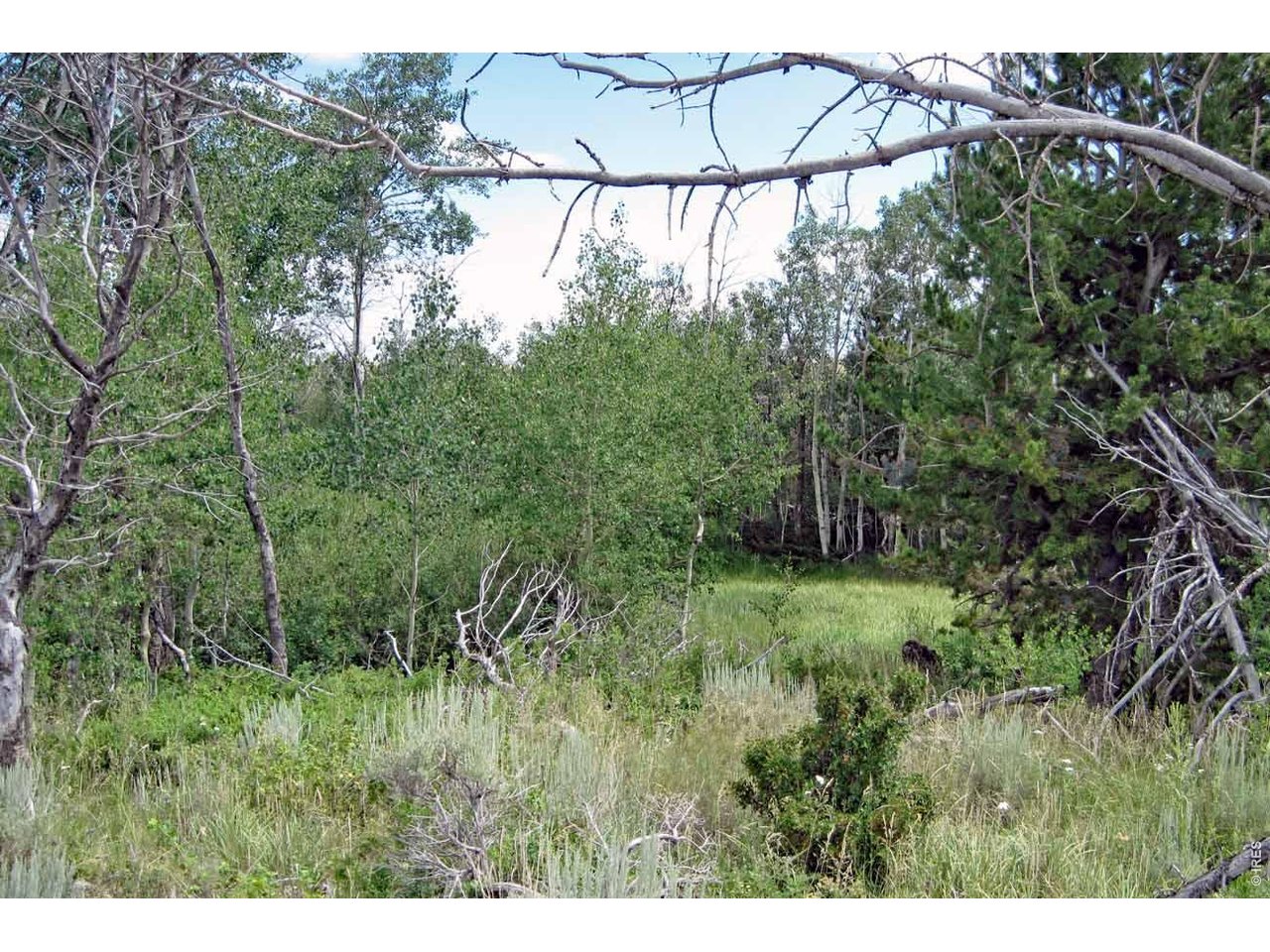 Photo of Wilderness Ranch Rd Sand Creek Township CO 82070