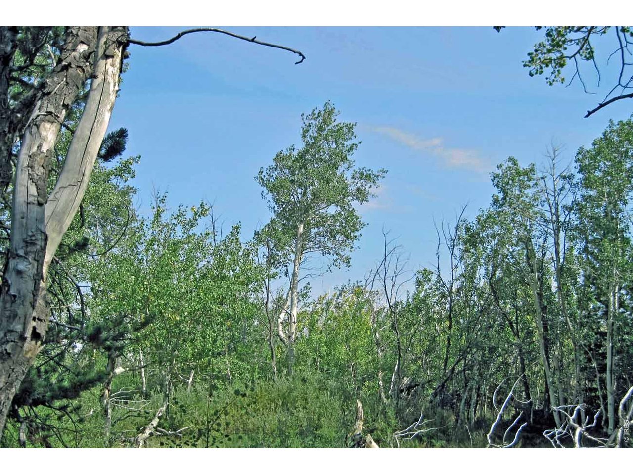 Photo of Wilderness Ranch Rd Sand Creek Township CO 82070