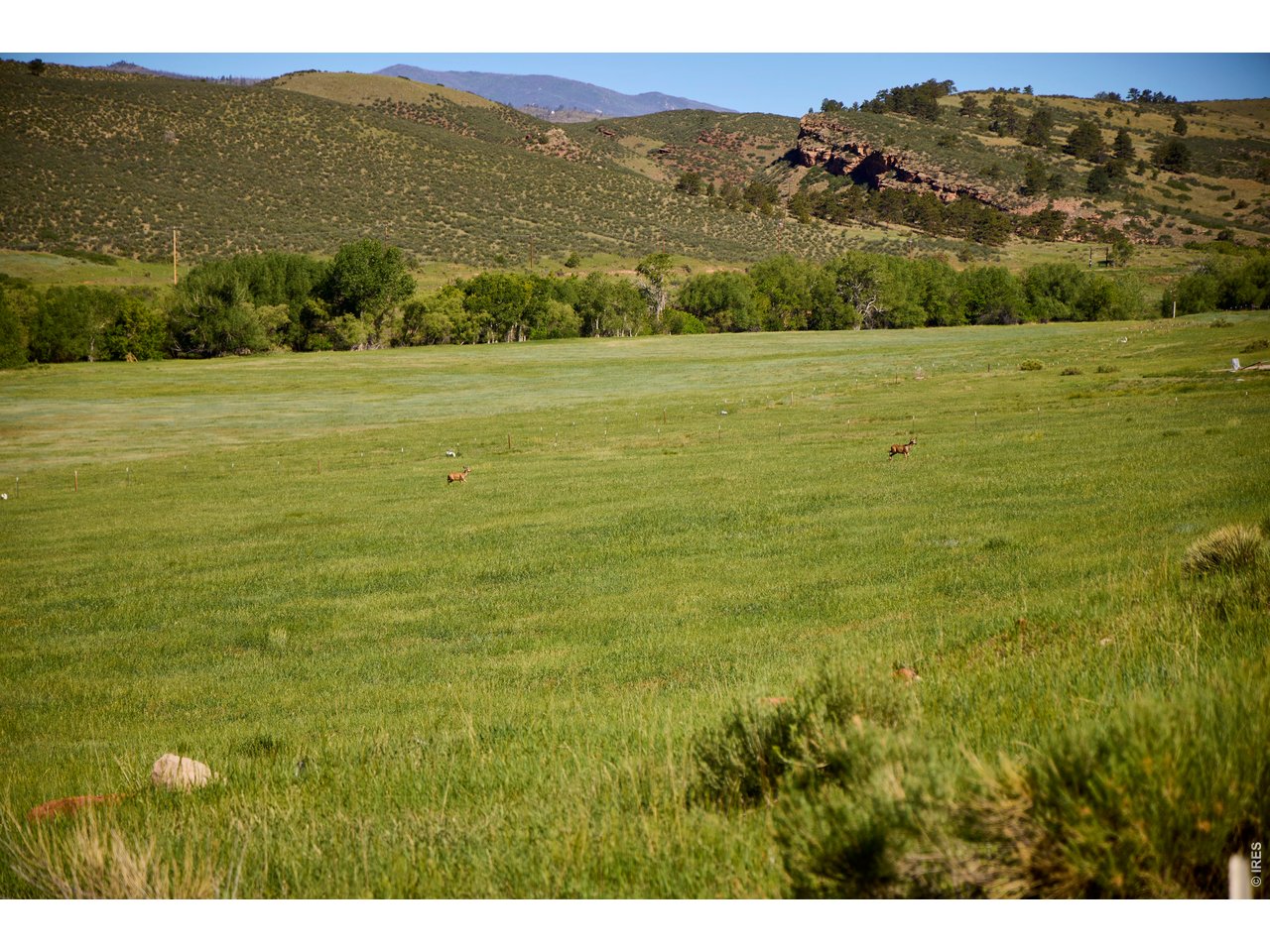 Photo of 10231 Buckhorn Ridge Way Loveland CO 80538