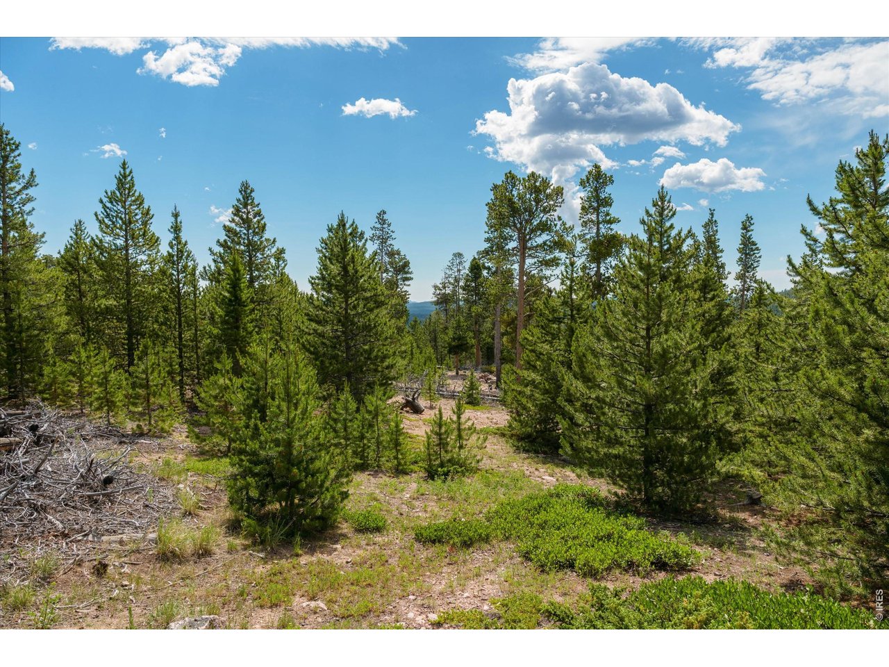 Photo of 410 Pearl Creek Rd Red Feather Lakes CO 80545