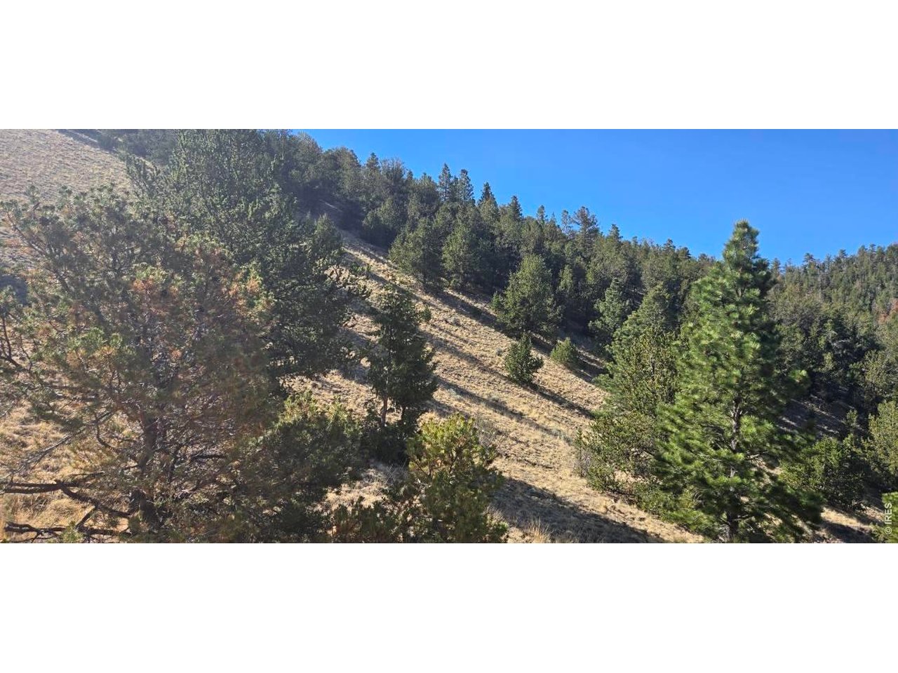 Photo of 0 County Road 41g (Camero Road) Center CO 81125