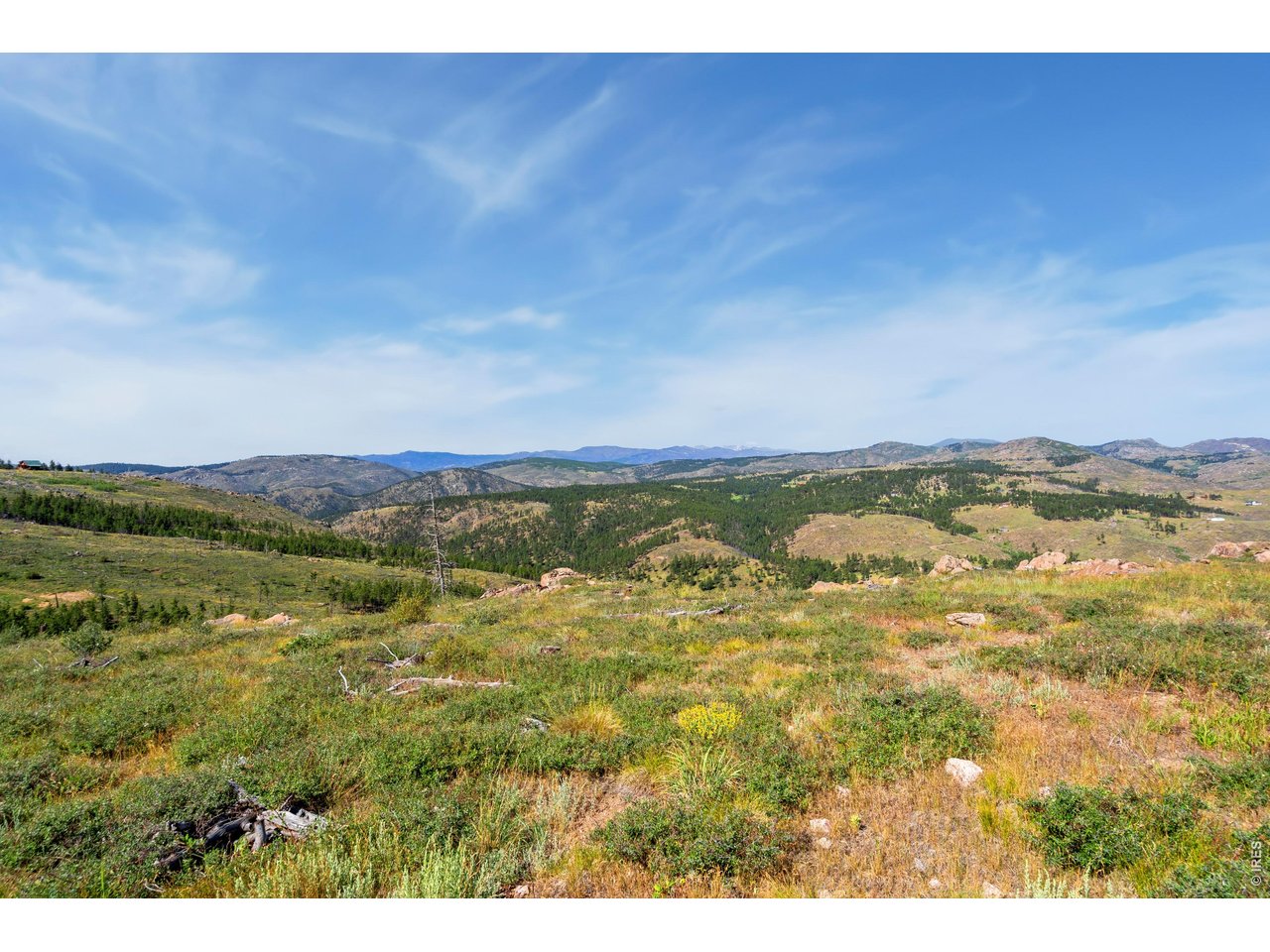 Photo of 1351 Walking Wind Dr Bellvue CO 80512