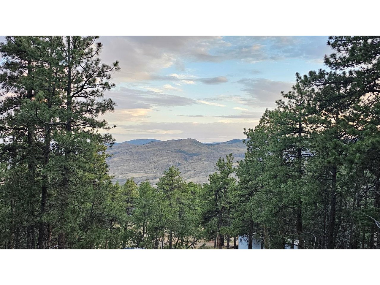 Photo of 3724 Woodchuck Dr Loveland CO 80538