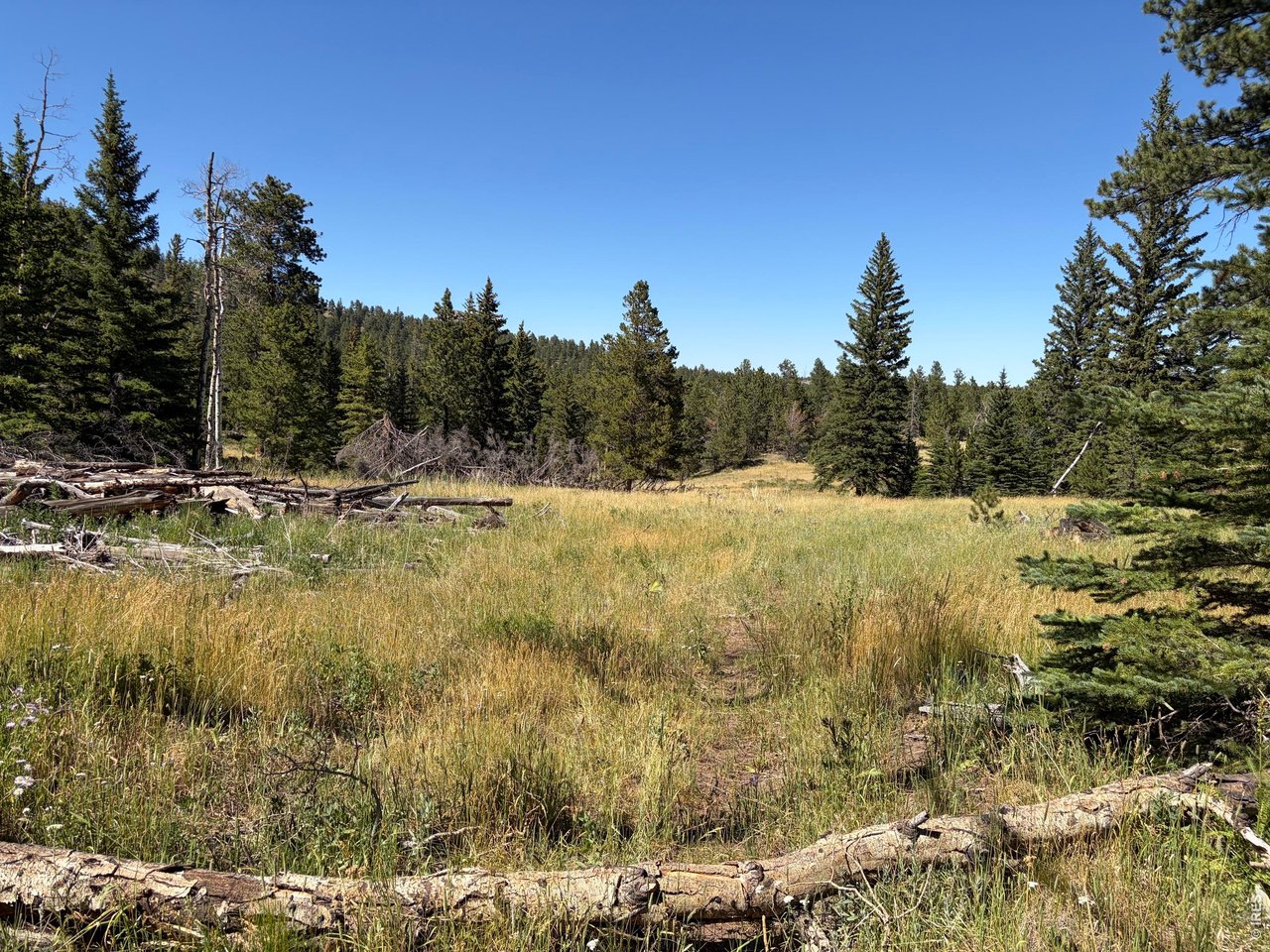 Photo of Pratt Creek Rd Livermore CO 80536