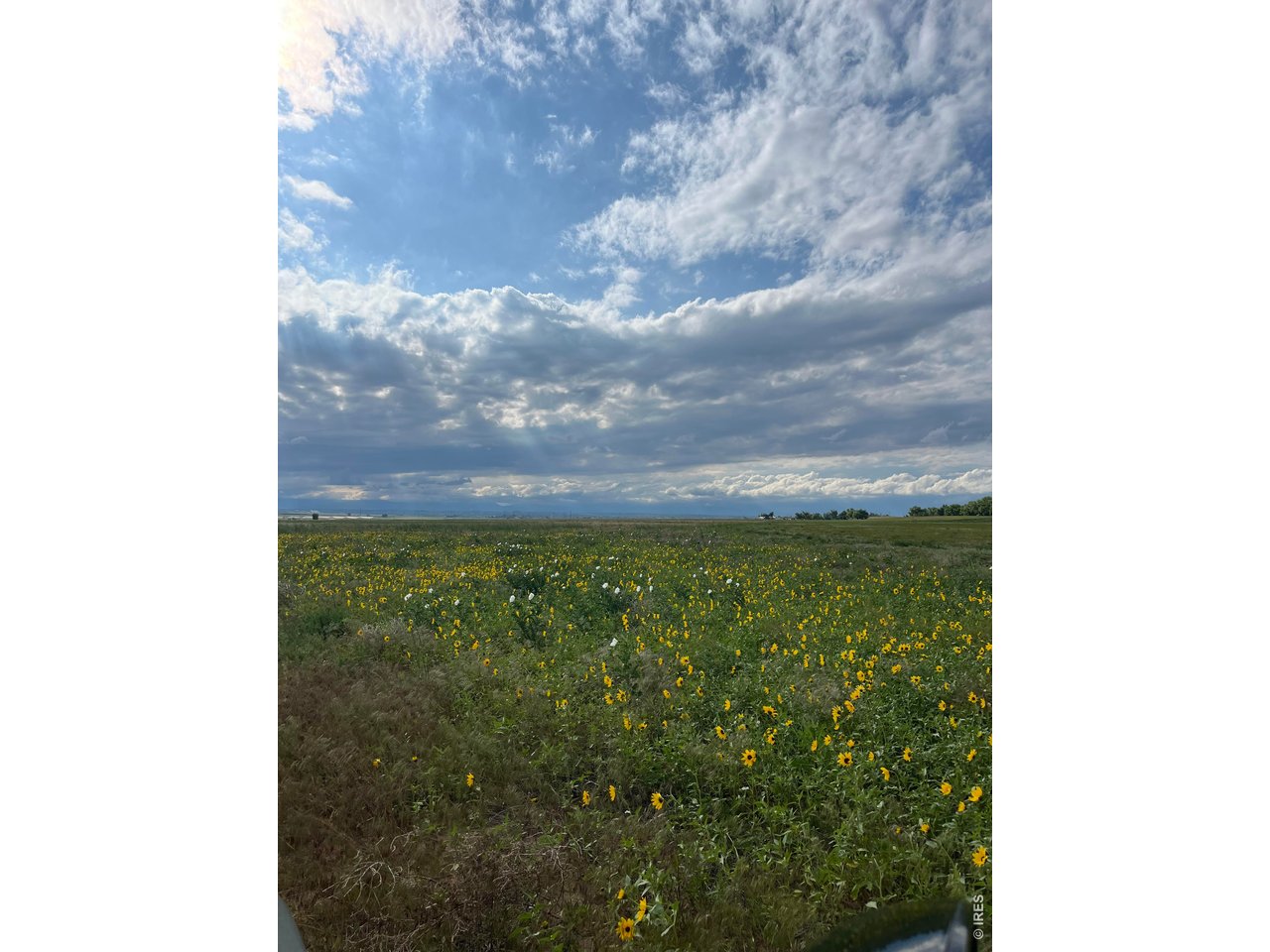 Photo of 0 County Road 34 Platteville CO 80651