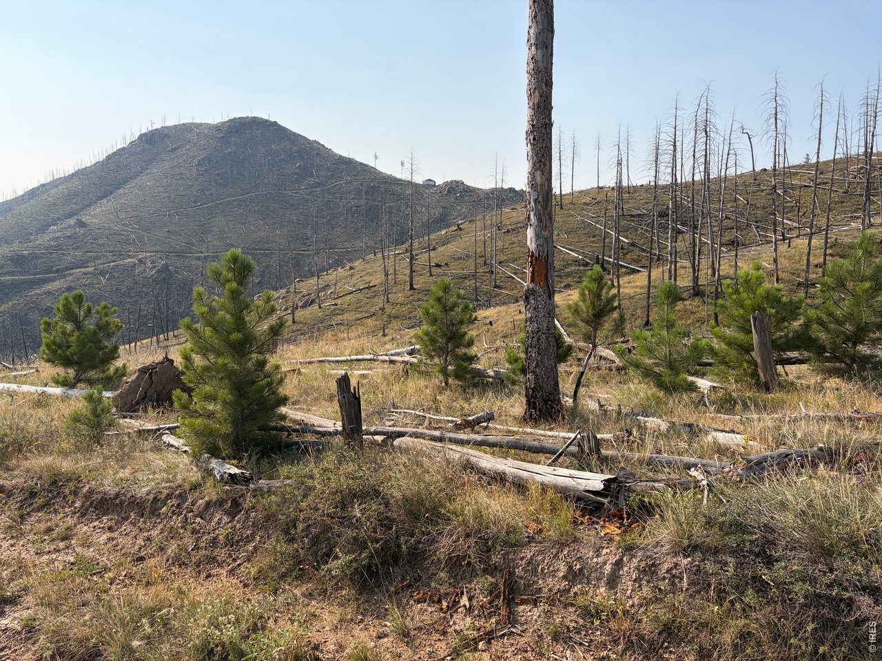 Photo of 0 Pine Acres Rd Bellvue CO 80512
