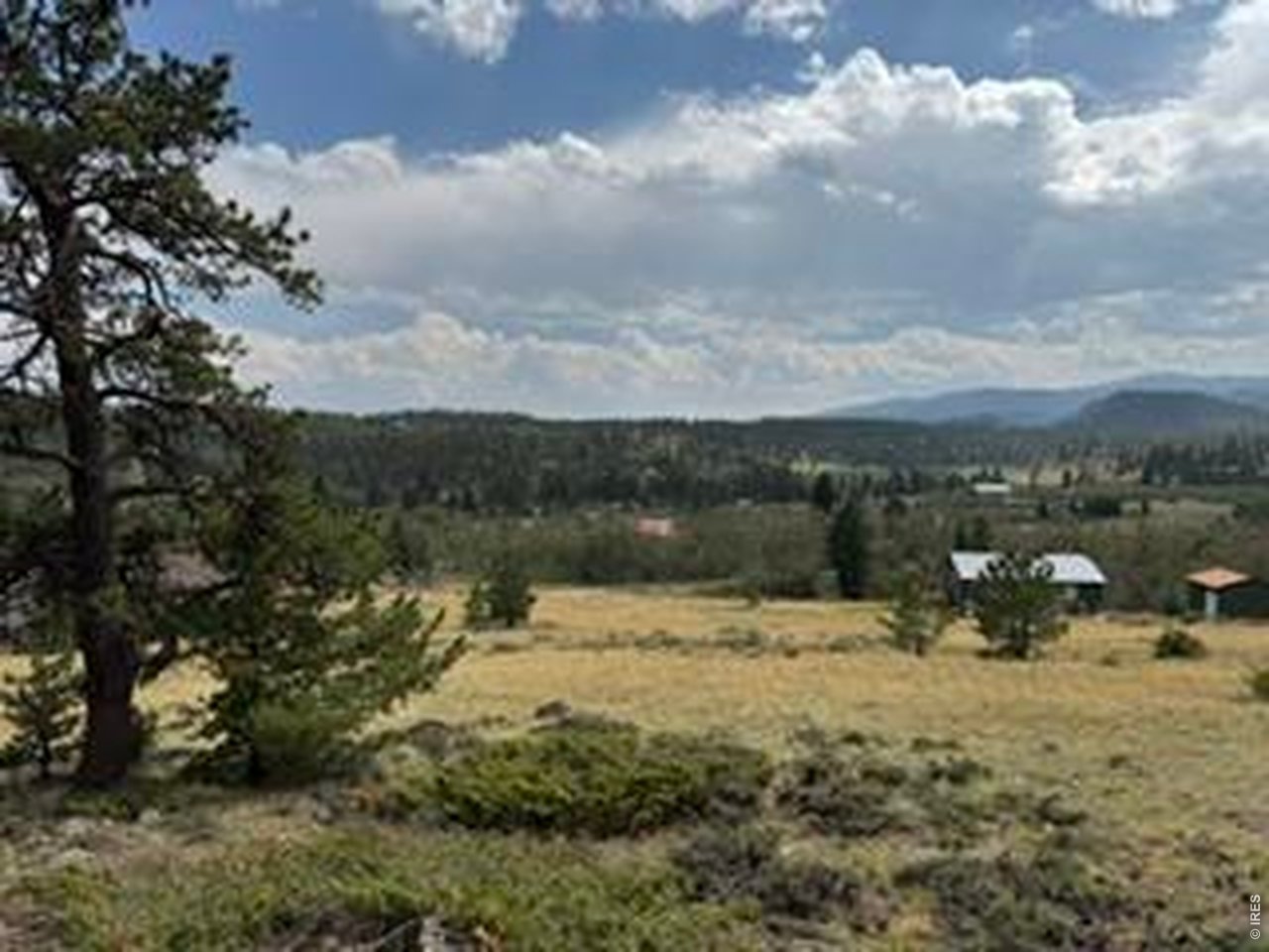 Photo of 191 Cimarron Rd Red Feather Lakes CO 80545