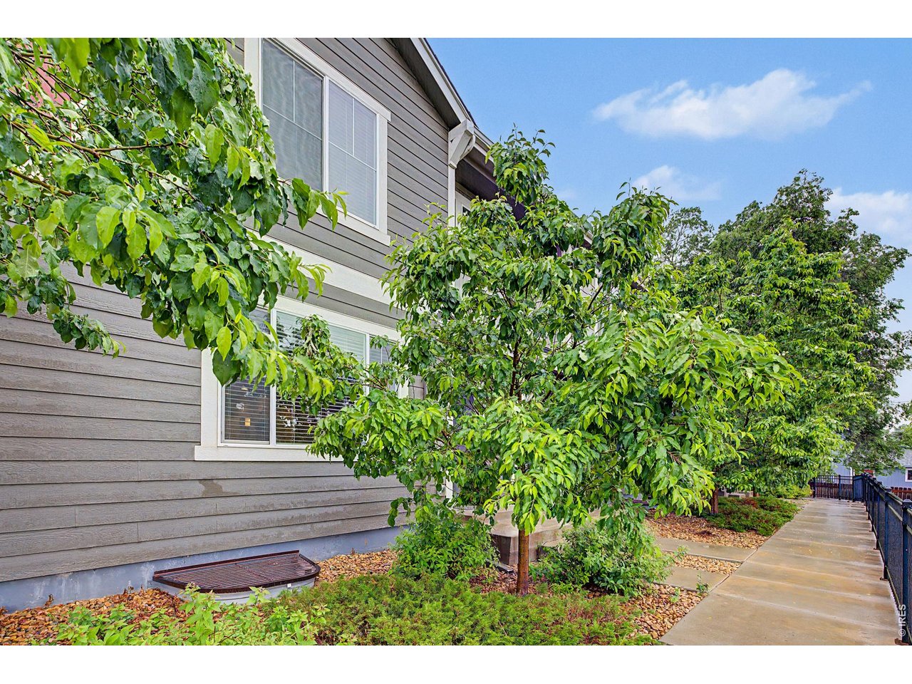 Photo of 3502 Big Ben Dr #D Fort Collins CO 80526