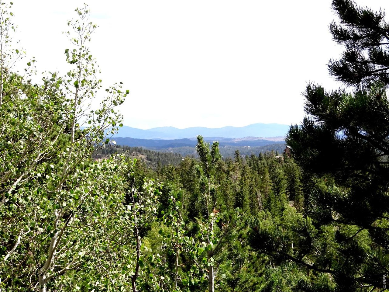 Photo of 115 Wenro Ct Red Feather Lakes CO 80545