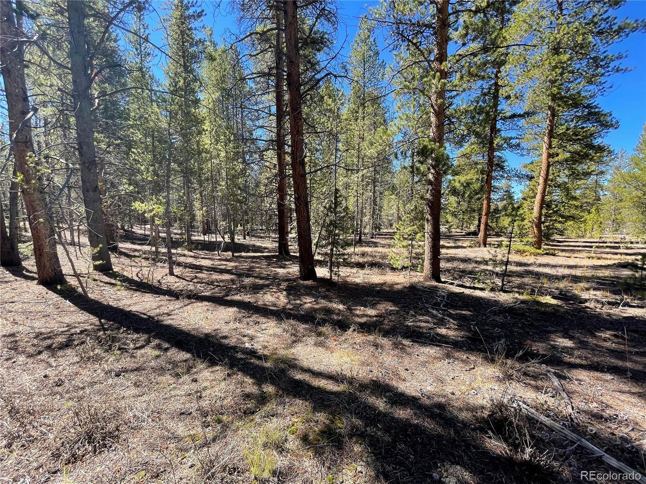Photo of 251 Virginia Ave Leadville CO 80461