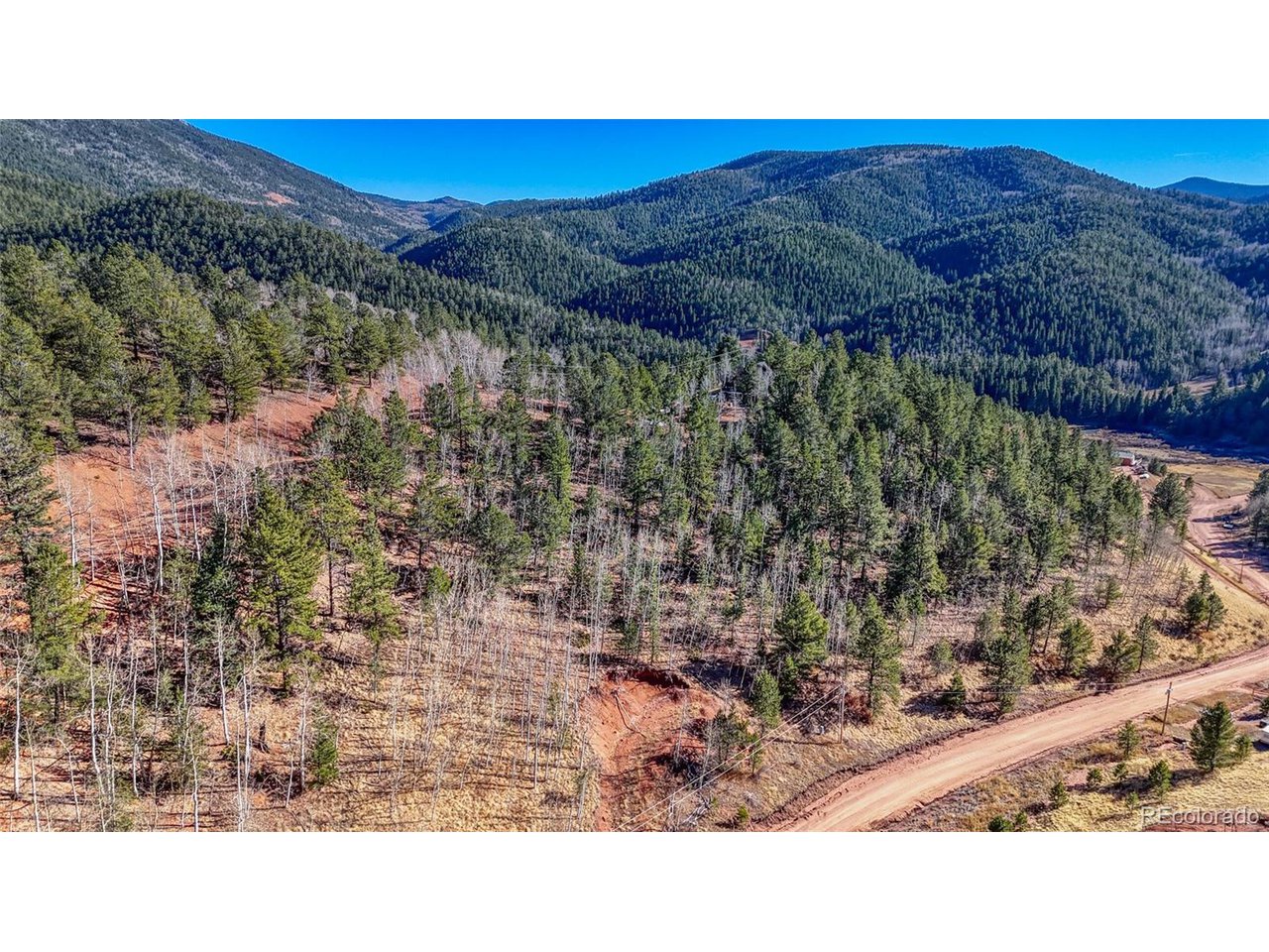Photo of 80 Beaver Pond Rd Divide CO 80814