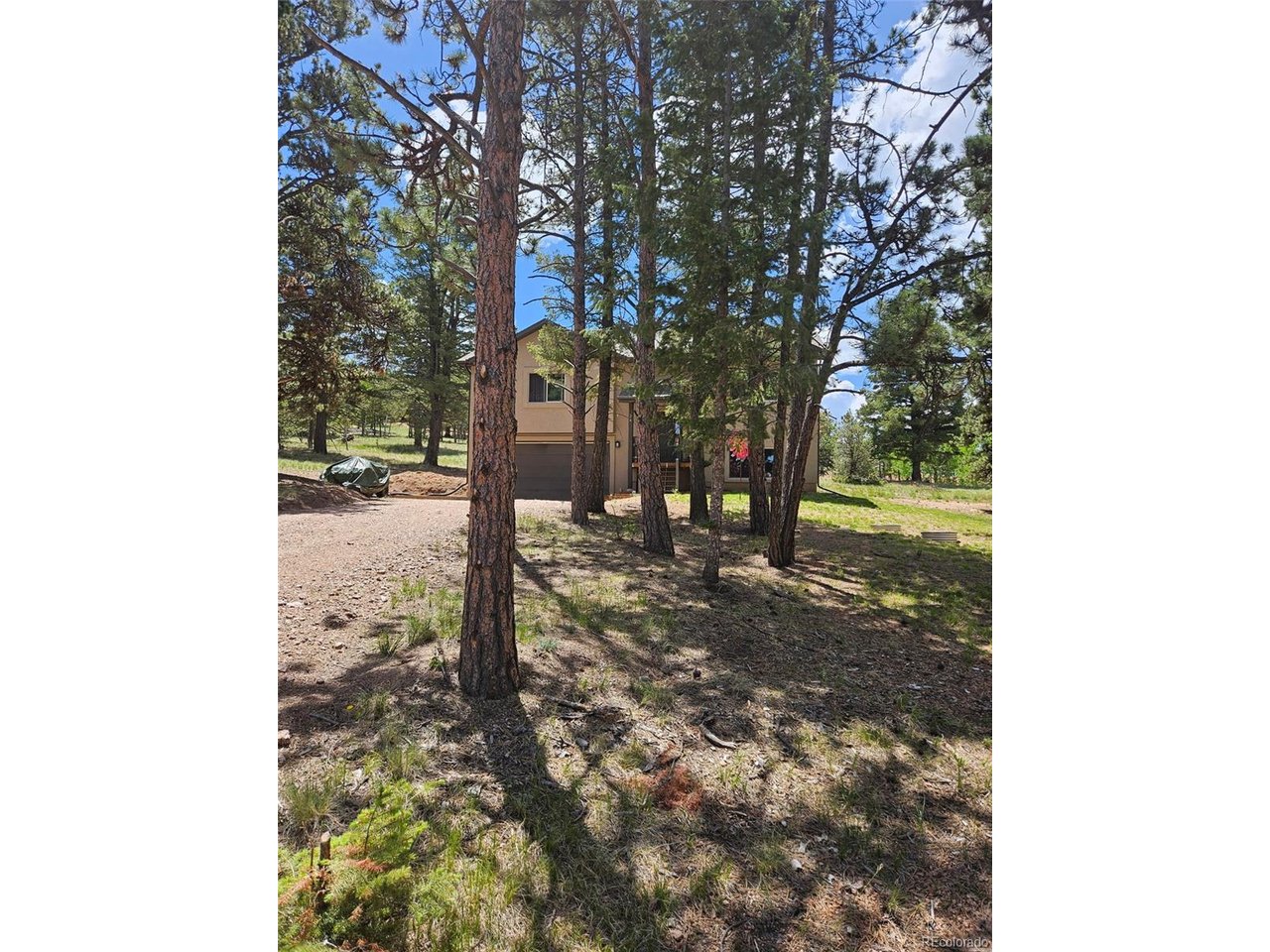 Photo of 24 Big Horn Circle Cir Florissant CO 80816