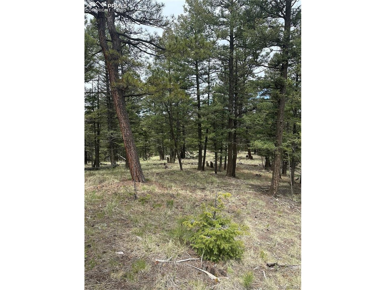 Photo of 1120 N Mountain Estates Rd Florissant CO 80816
