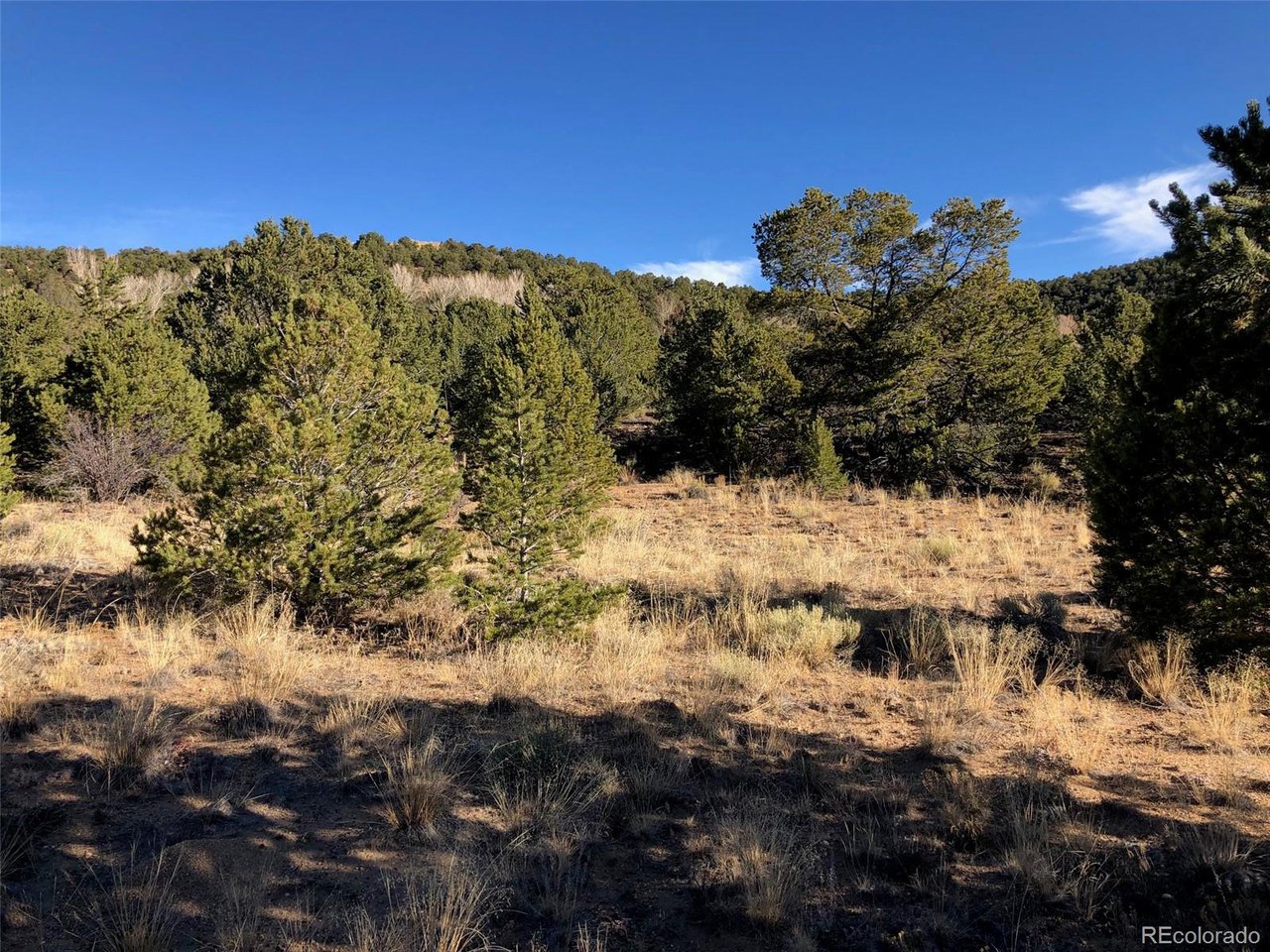 Photo of 14771 Granite Pkwy Salida CO 81201