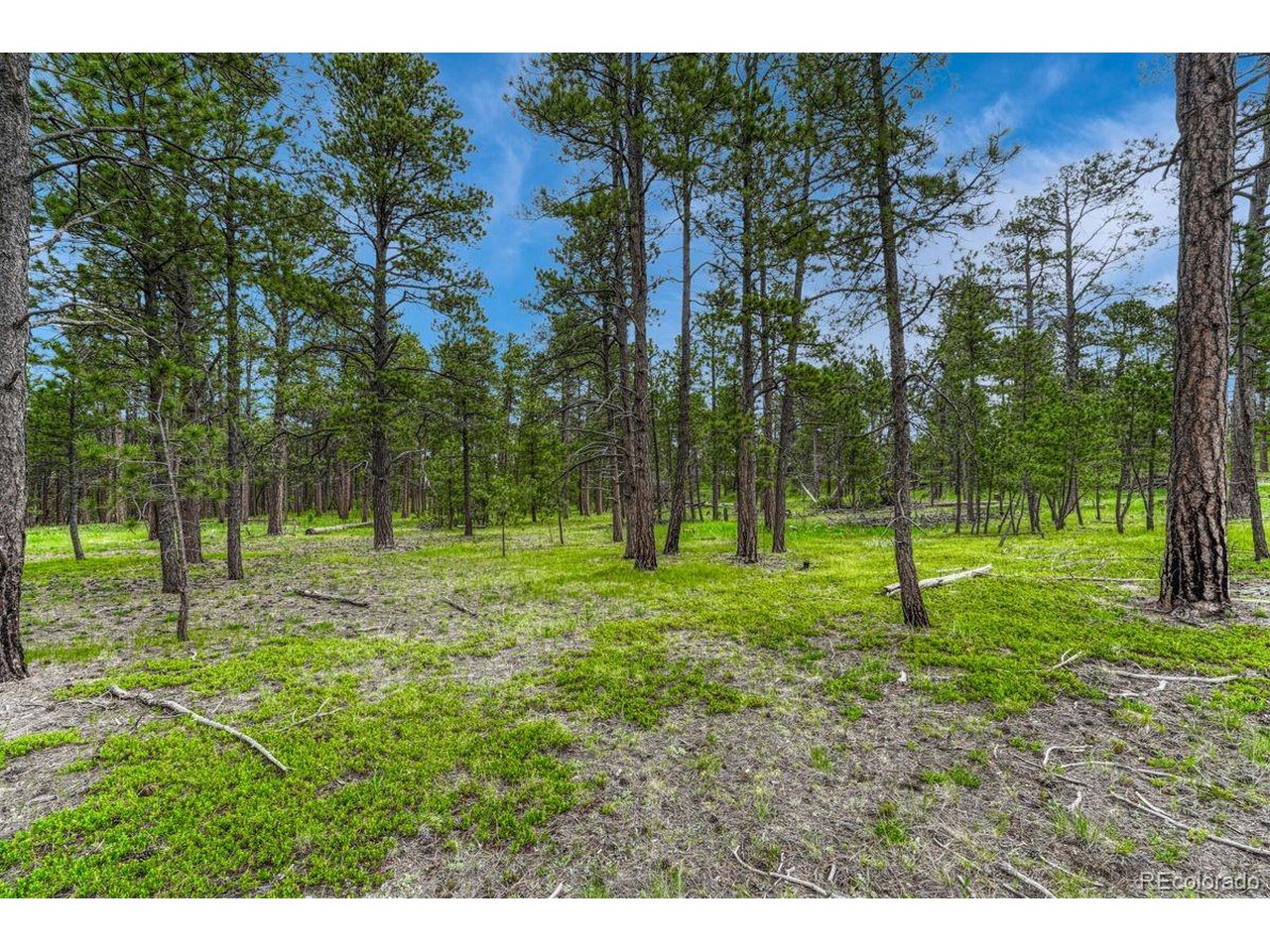 Photo of 0 Wyandott Dr Colorado Springs CO 80908
