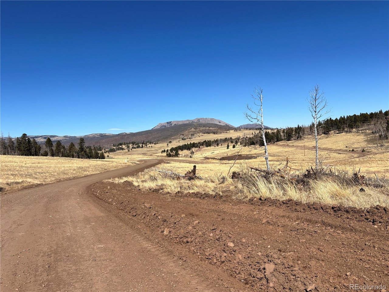 Photo of 0 Forbes Park Rd. Fort Garland CO 81133