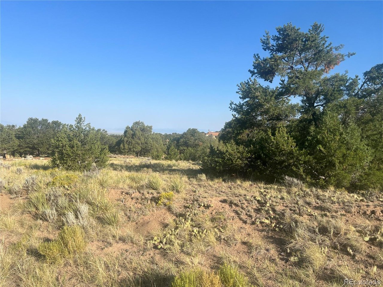 Photo of 4292 Fallen Tree Overlook Crestone CO 81131