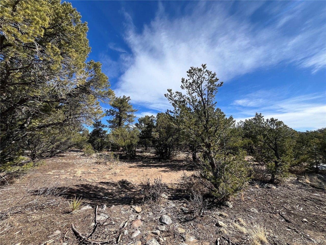 Photo of 29274 Lakota Ln Buena Vista CO 81211
