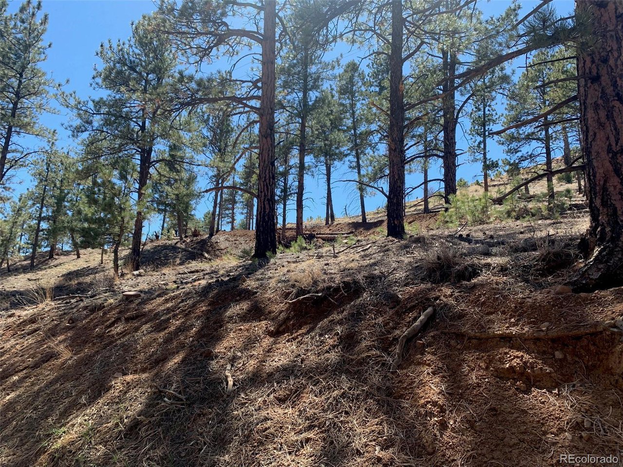 Photo of 15421 Westcreek Rd Woodland Park CO 80863