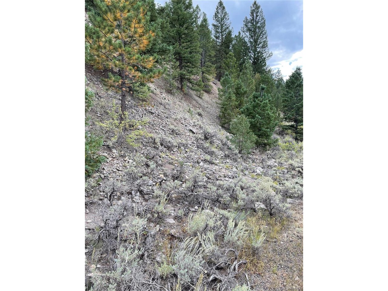 Photo of 1577 Mears Ln Salida CO 81201