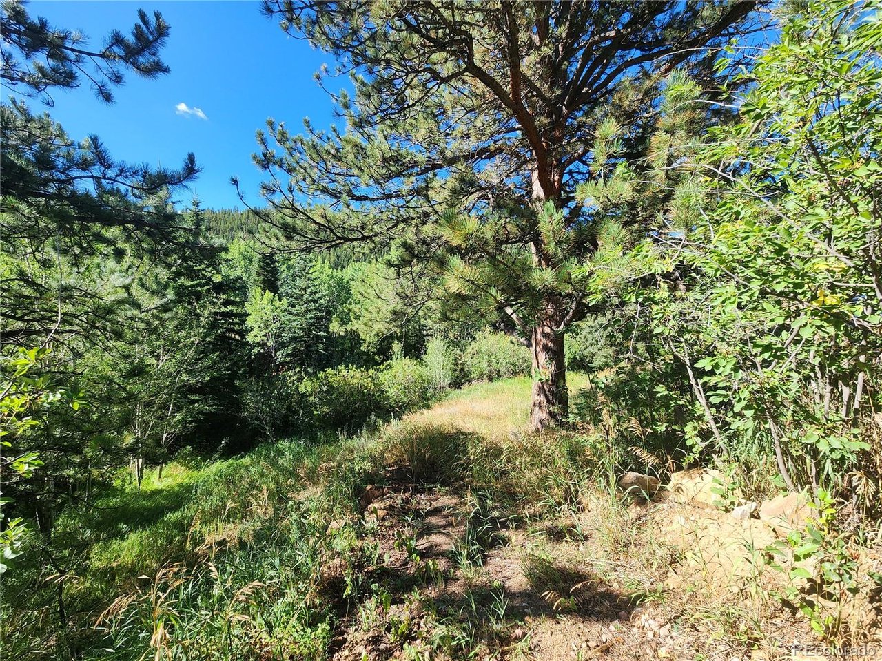 Photo of 531 Caribou Rd Nederland CO 80466