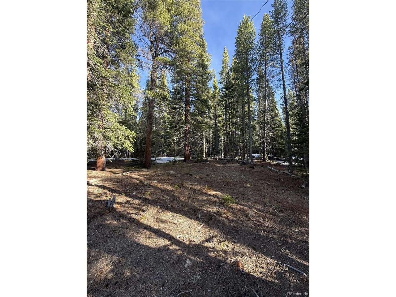 Photo of 611 Silver Creek Rd Idaho Springs CO 80452