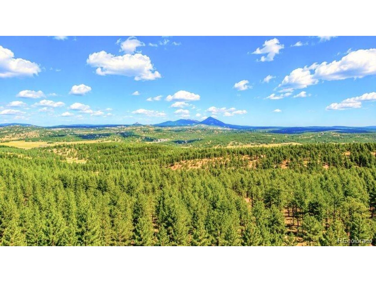 Photo of 196 Freeman Dr Florissant CO 80816