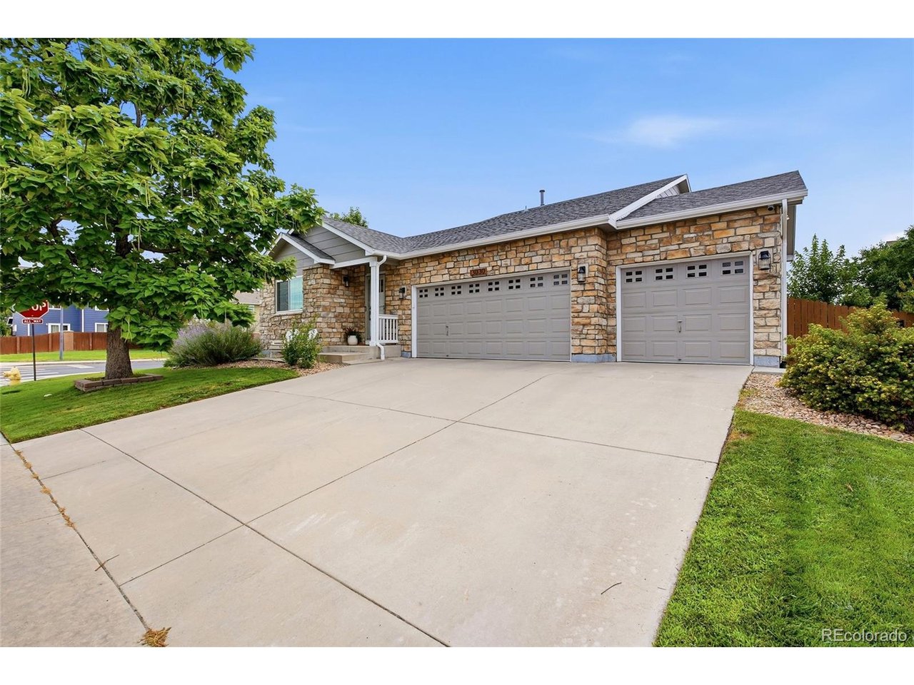 Photo of 13030 Niagara St Thornton CO 80602
