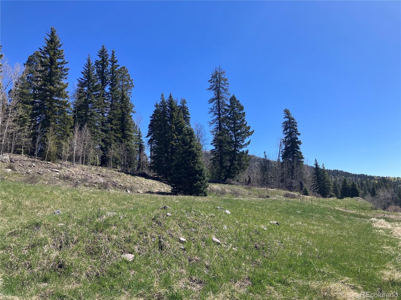 Photo of 222 Lost Valley Dr Creede CO 81130