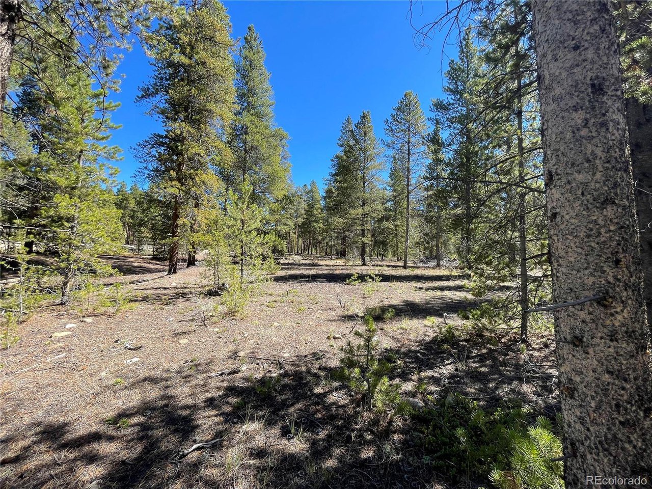Photo of 100 Virginia Ave Leadville CO 80461