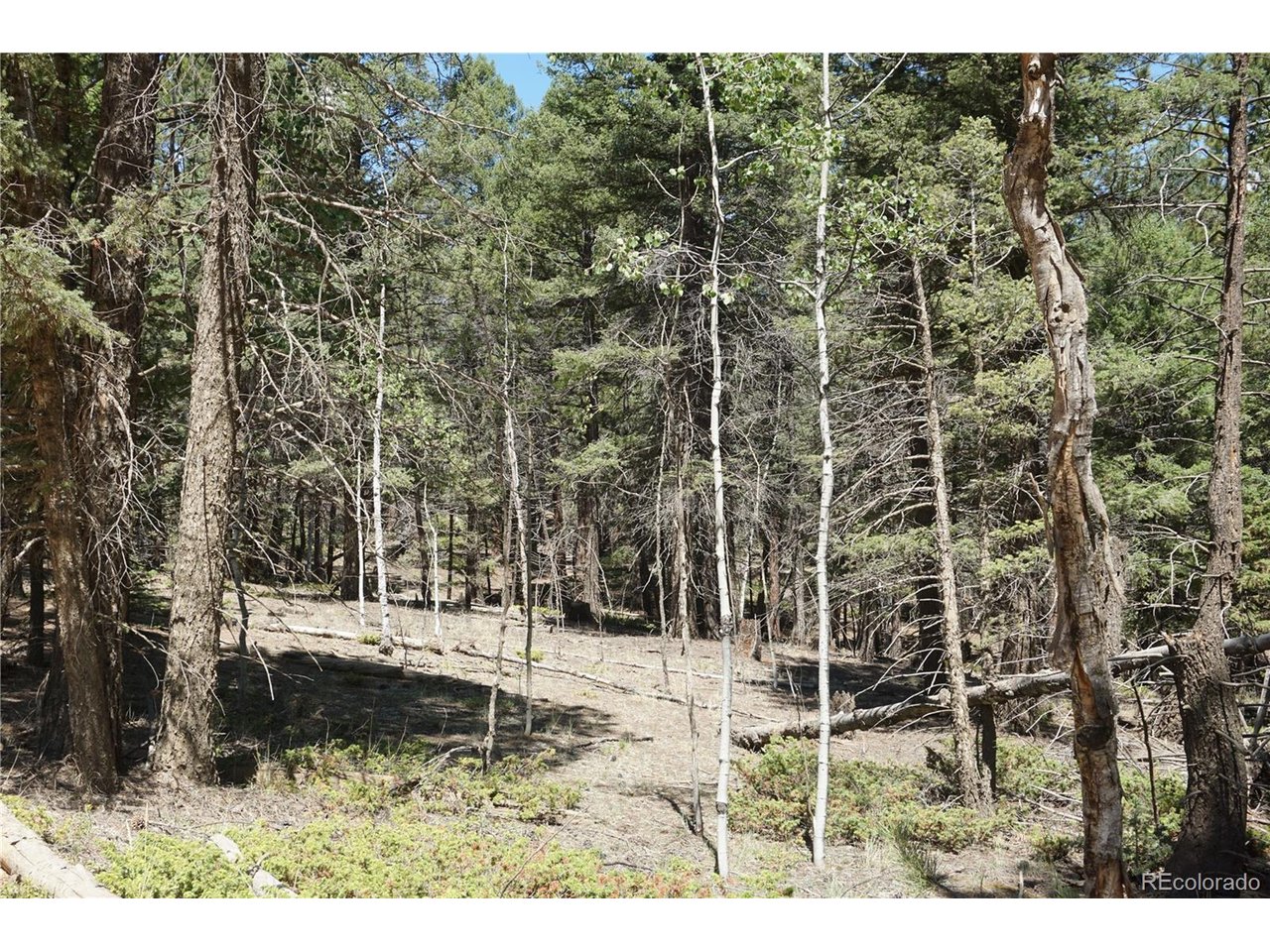 Photo of 616 Indian Creek Rd Florissant CO 80816