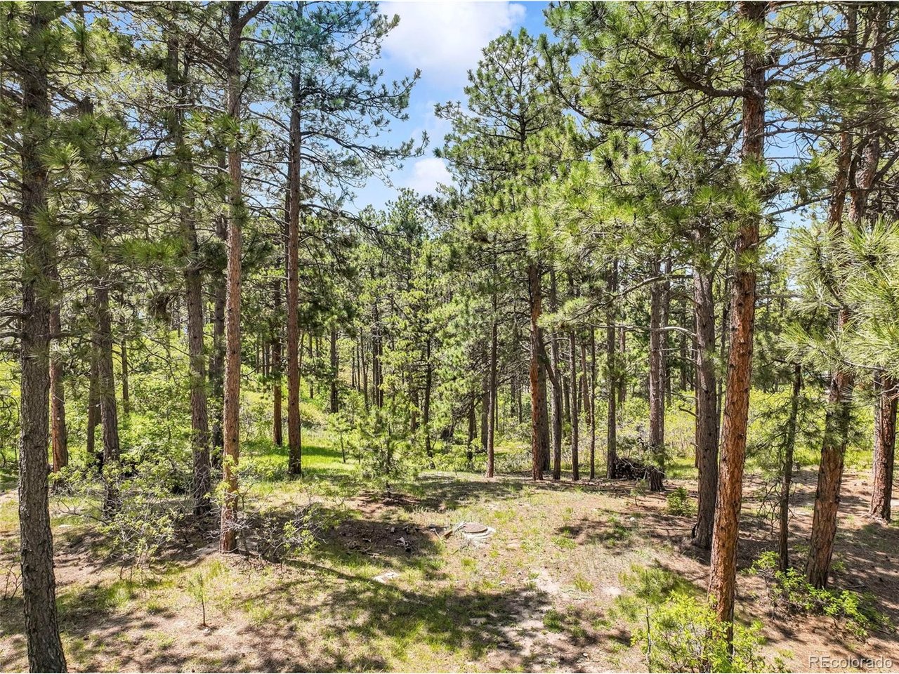 Photo of 1180 Lone Scout Lookout Monument CO 80132
