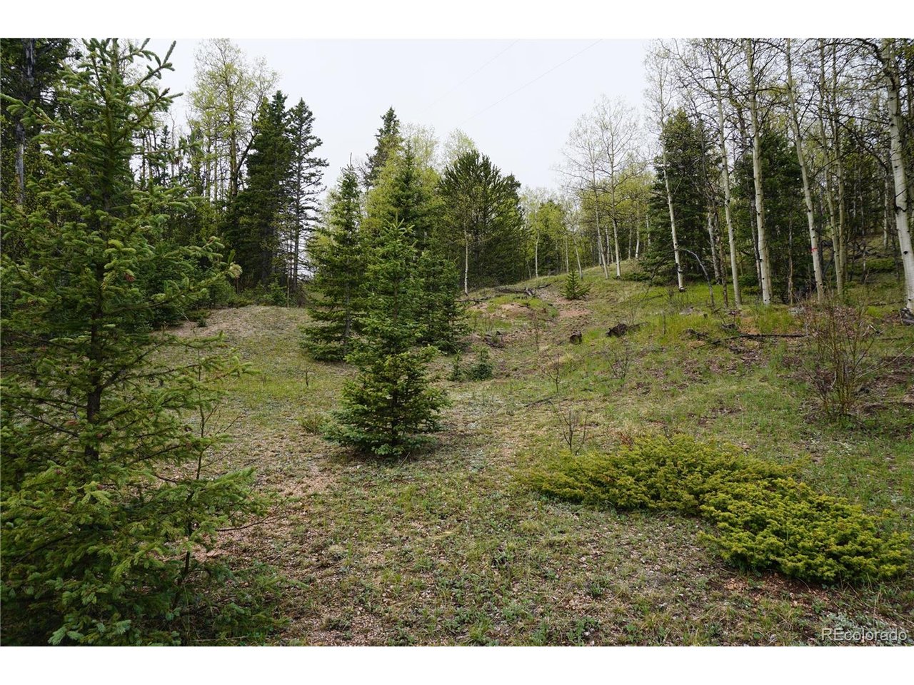 Photo of Vacant Land Cripple Creek CO 80813