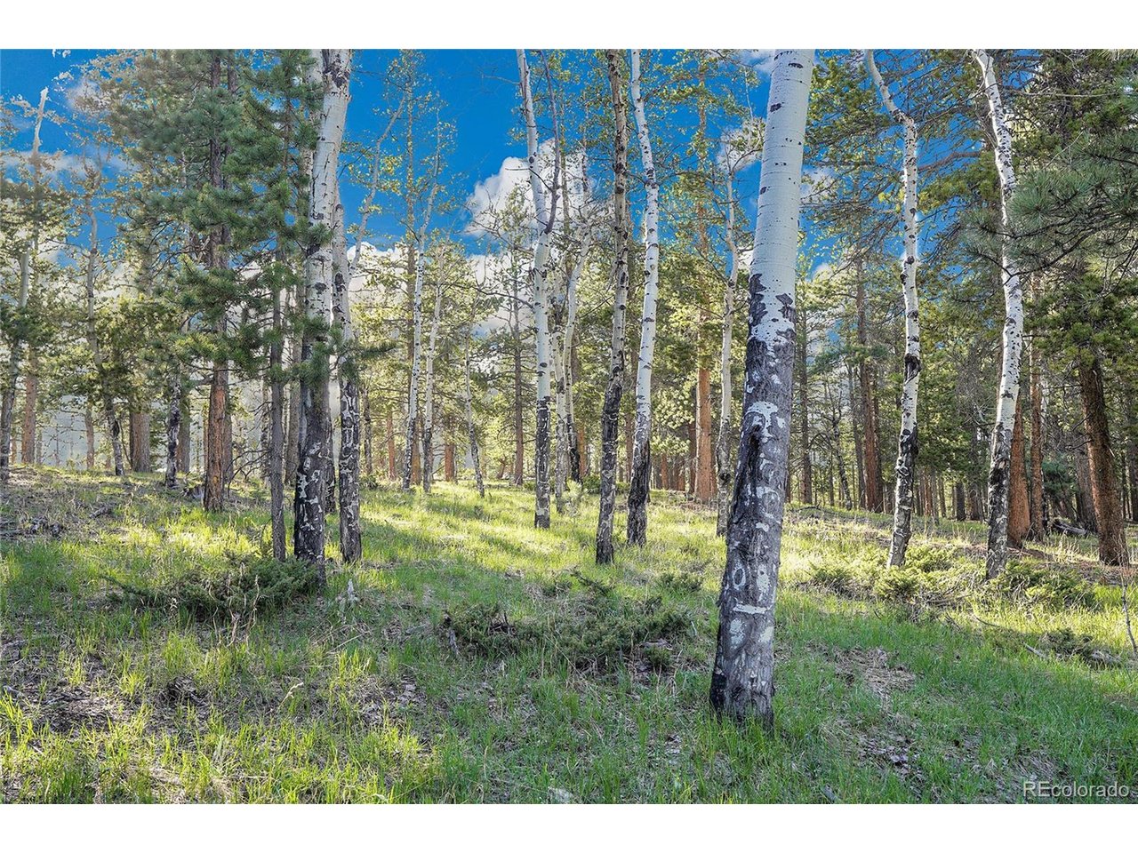 Photo of Molly Dr, Lot #3 Conifer CO 80433
