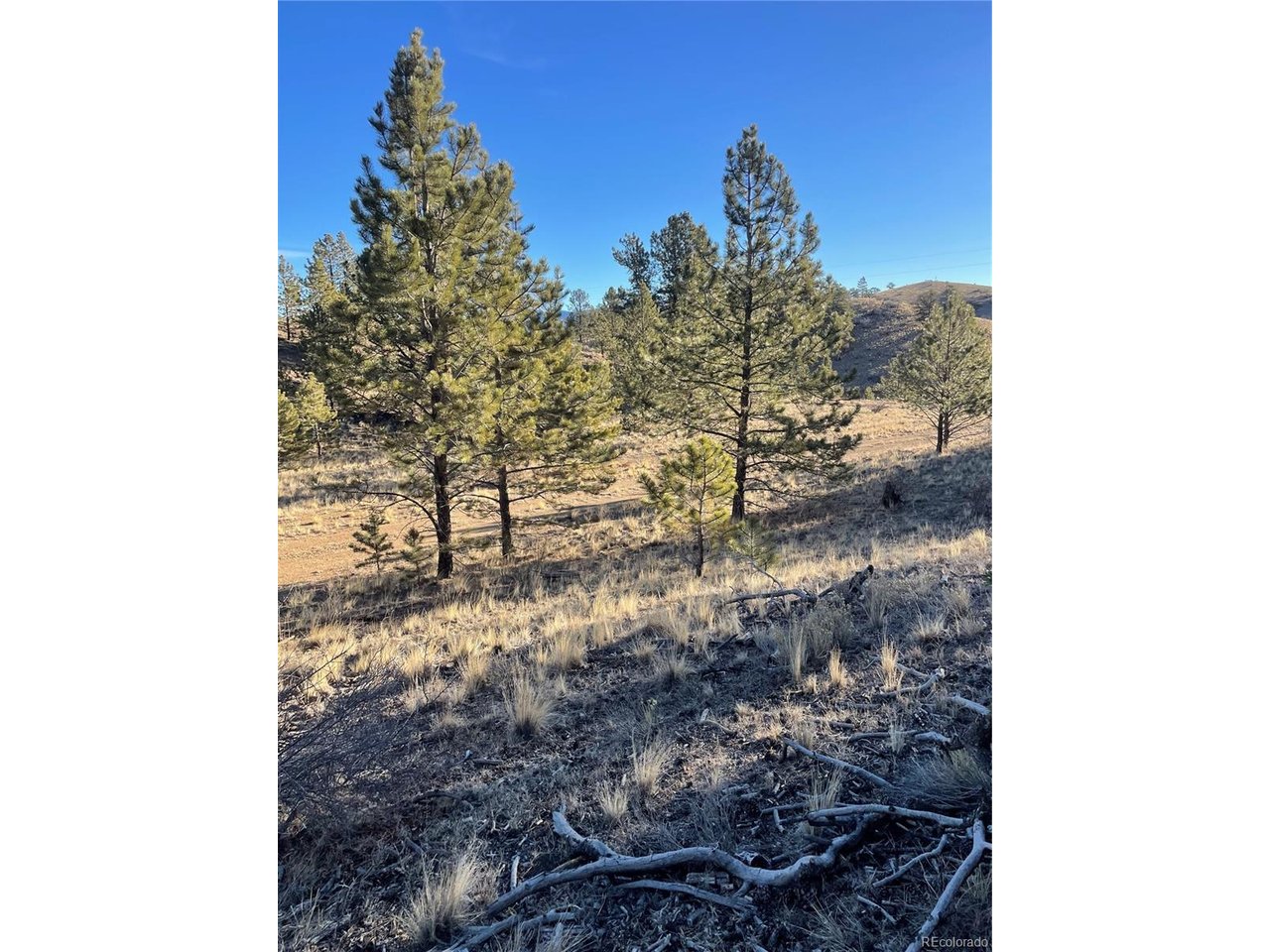 Photo of 0 Tarryall Rd Hartsel CO 80449