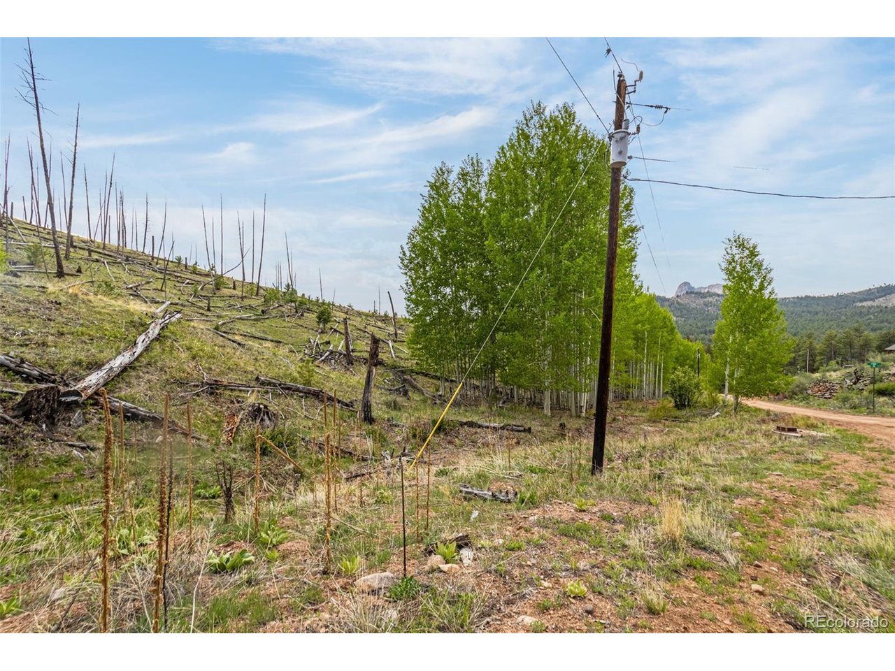 Photo of 1 Columbine Cir Woodland Park CO 80863