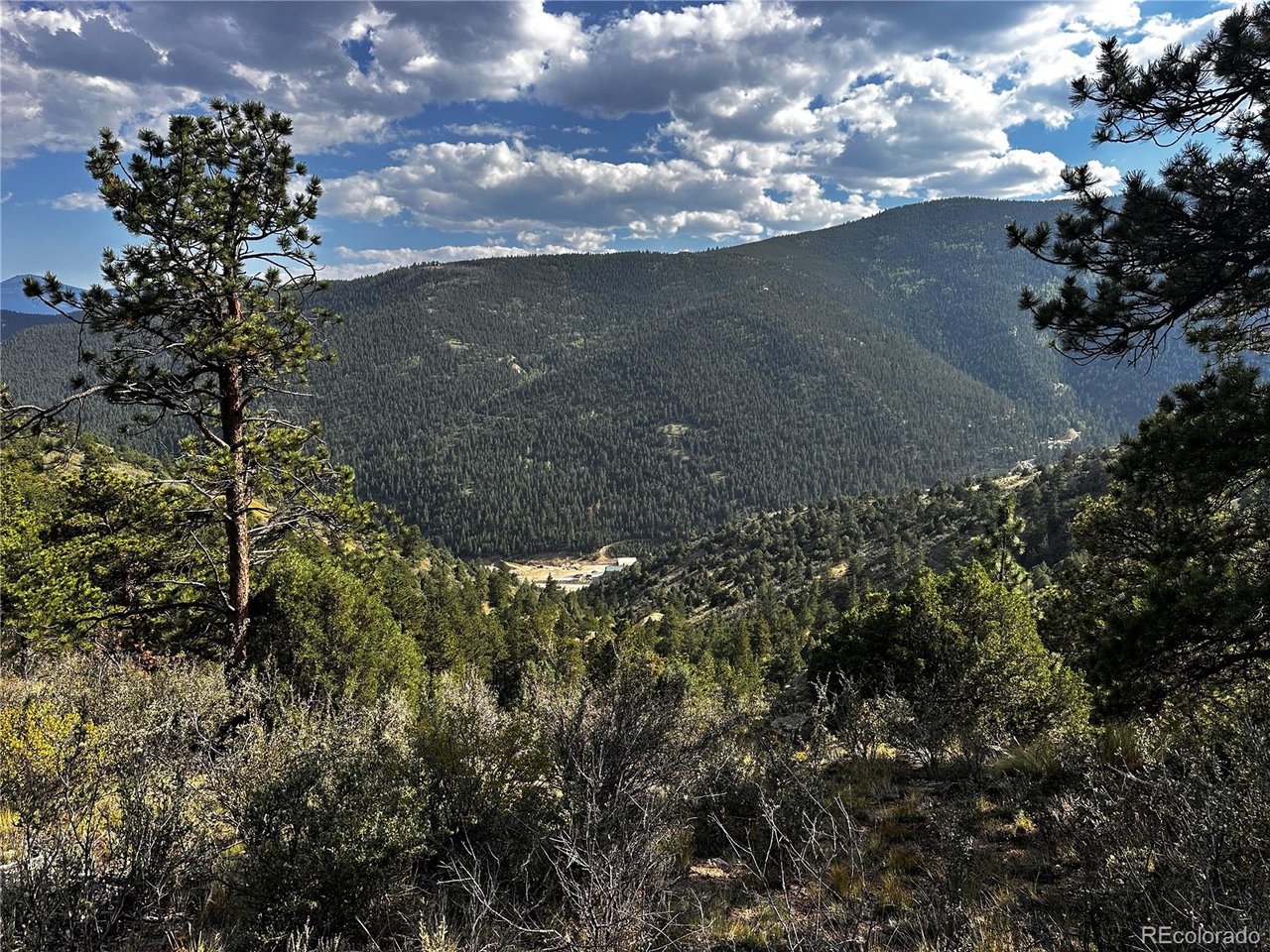 Photo of 1 Eagle Mining Claim Dumont CO 80436