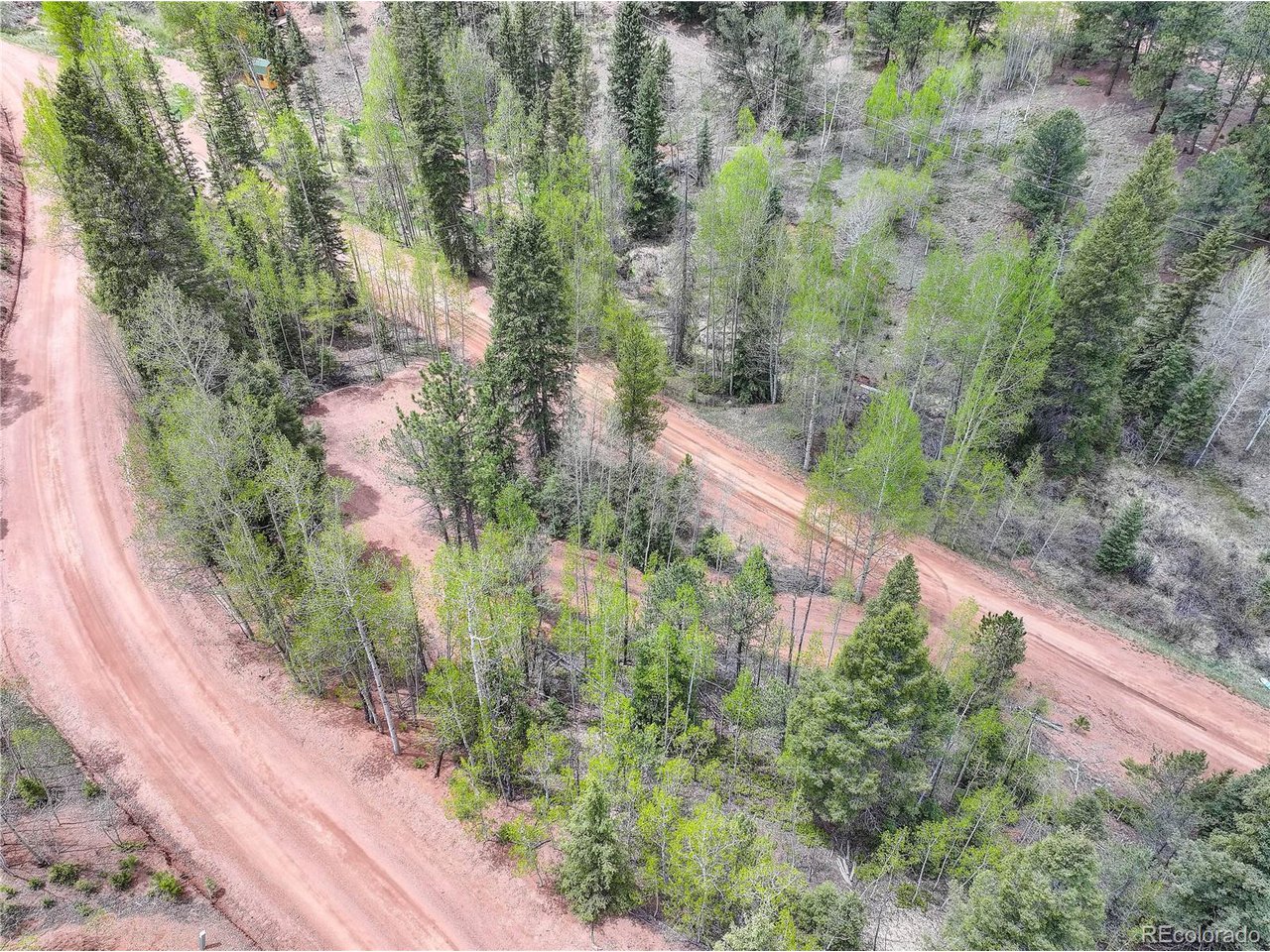 Photo of 416 Willow Rd Divide CO 80814