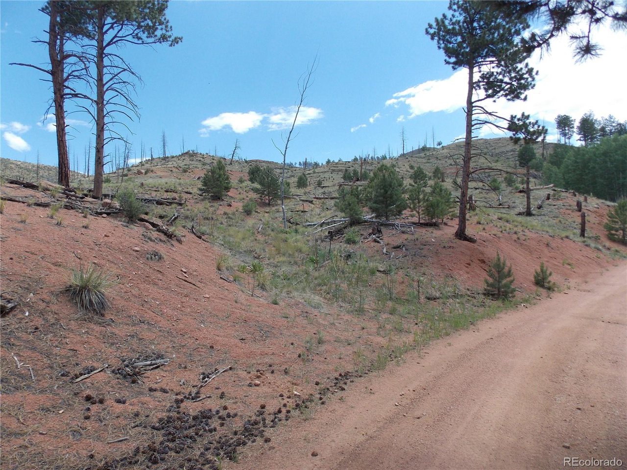Photo of 14691 Crooked Trail Rd Woodland Park CO 80863